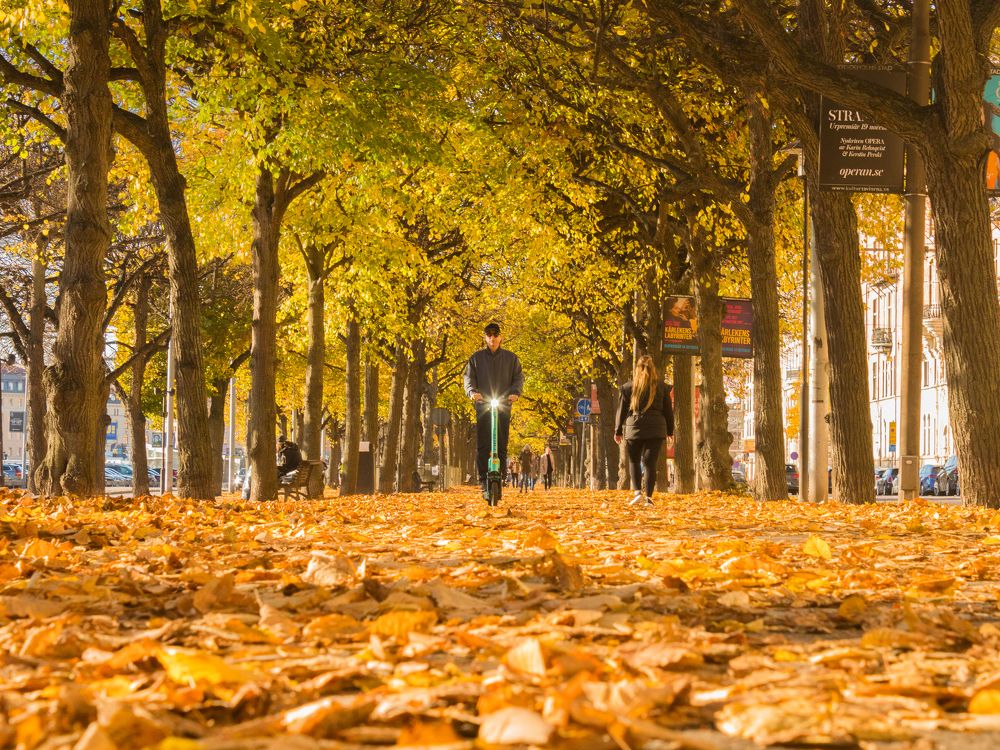 Photograph by Abdul Mukheem Shaik