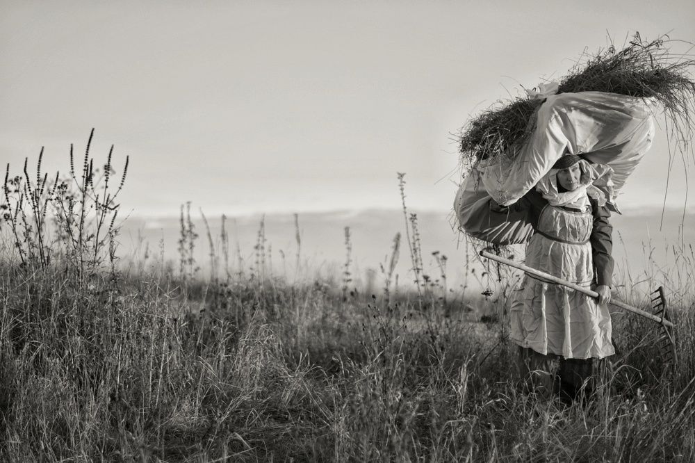 Сенокос одиночный