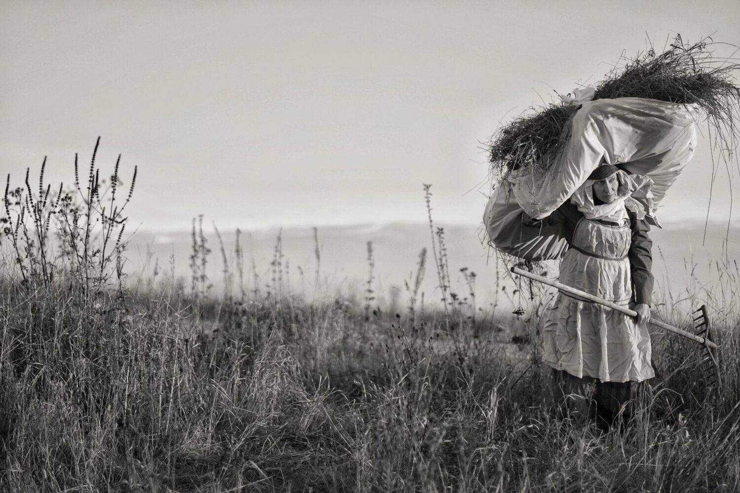 Сенокос одиночный