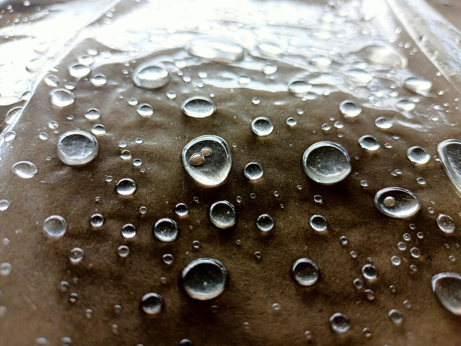 Photo #8311478