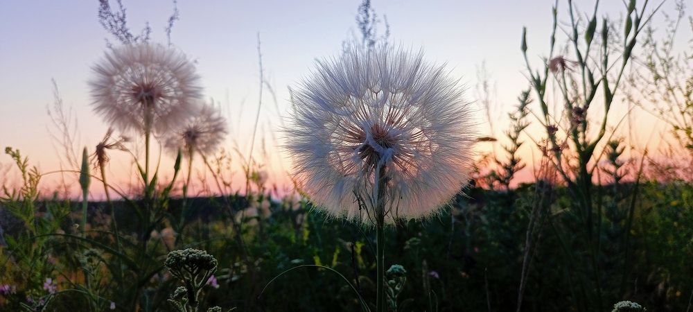 Photograph by Артем Федоров