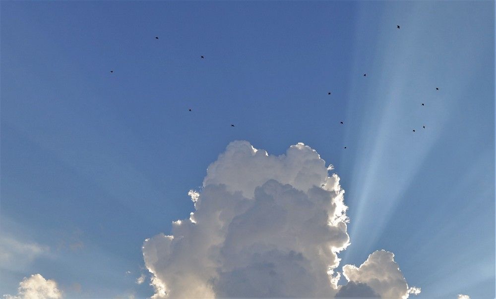 Photograph by Анастасия Рысь