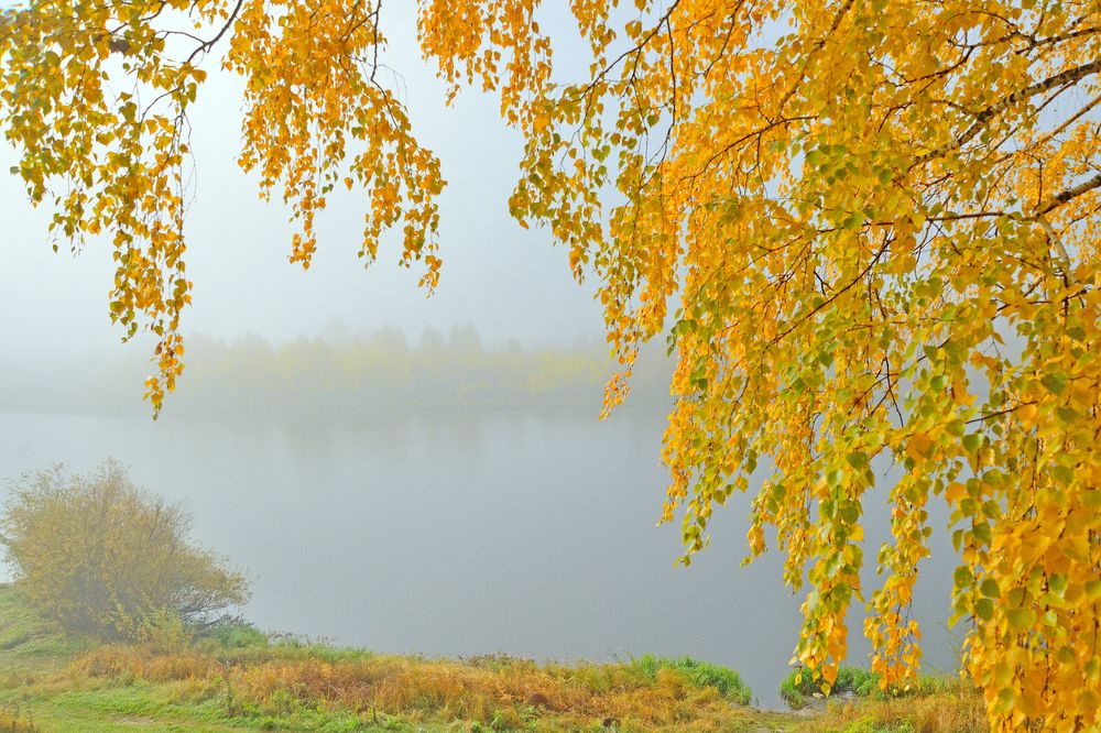 Photograph by vladilenoff