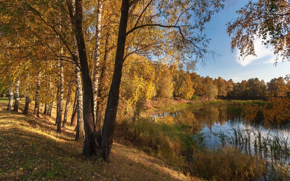 Photograph by василий Некрашевич