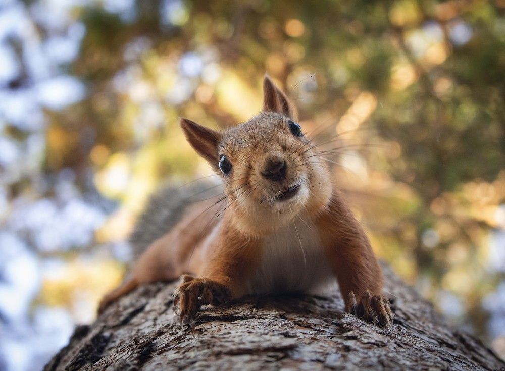 Photograph by Сергей Захаров
