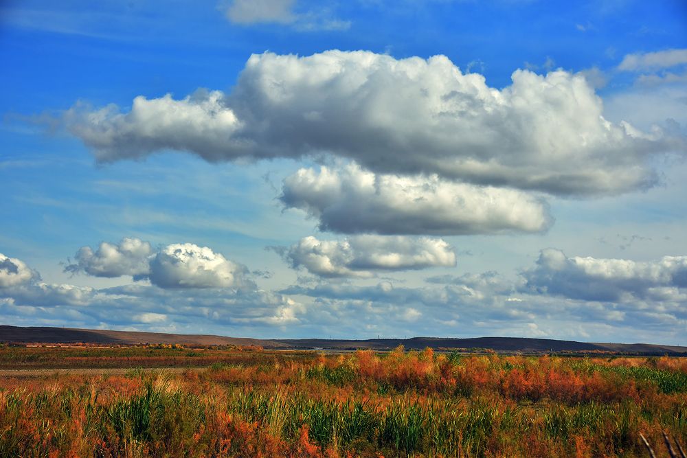 Photograph by Merdan Orazow