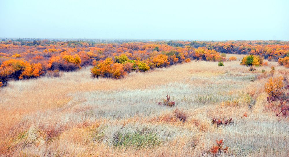 Photograph by Merdan Orazow