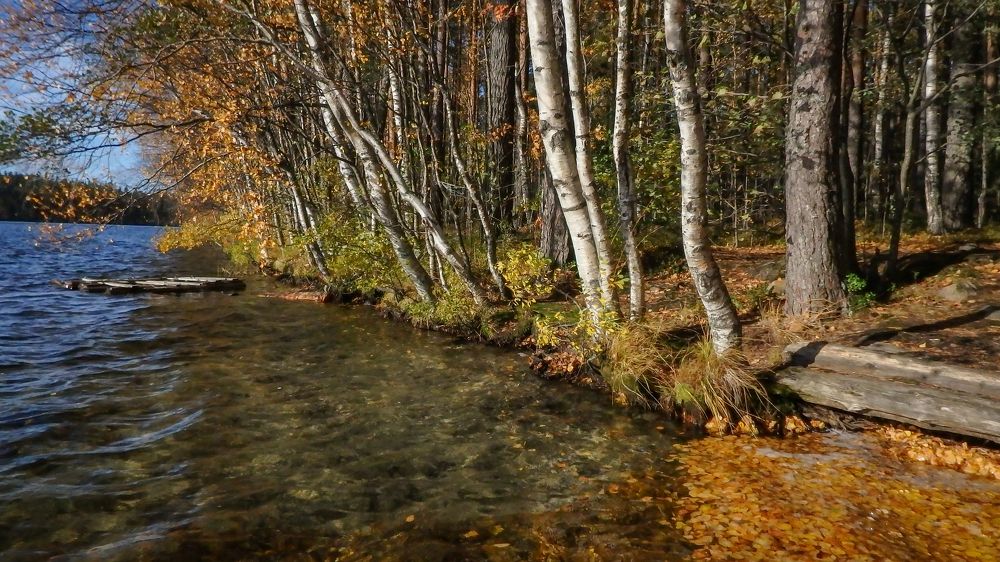 Фотография автора Boris Yakovlev