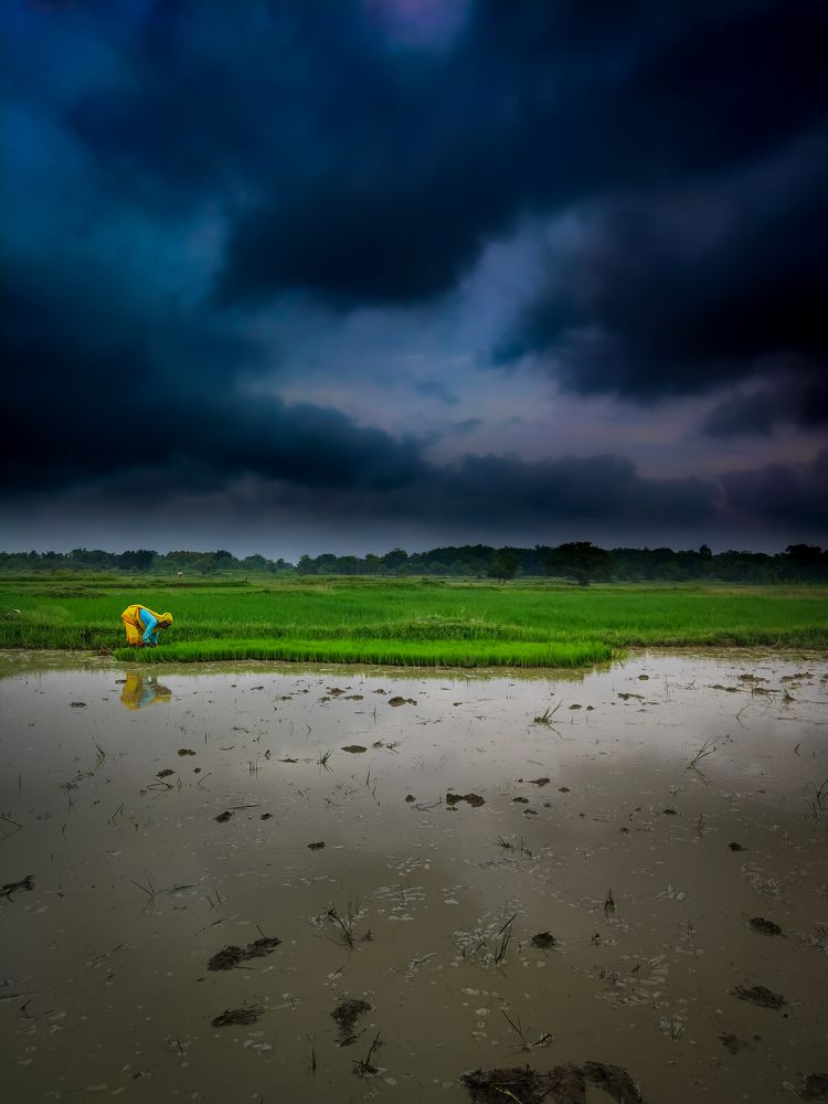 Фотография автора Subhadeep Chakraborty
