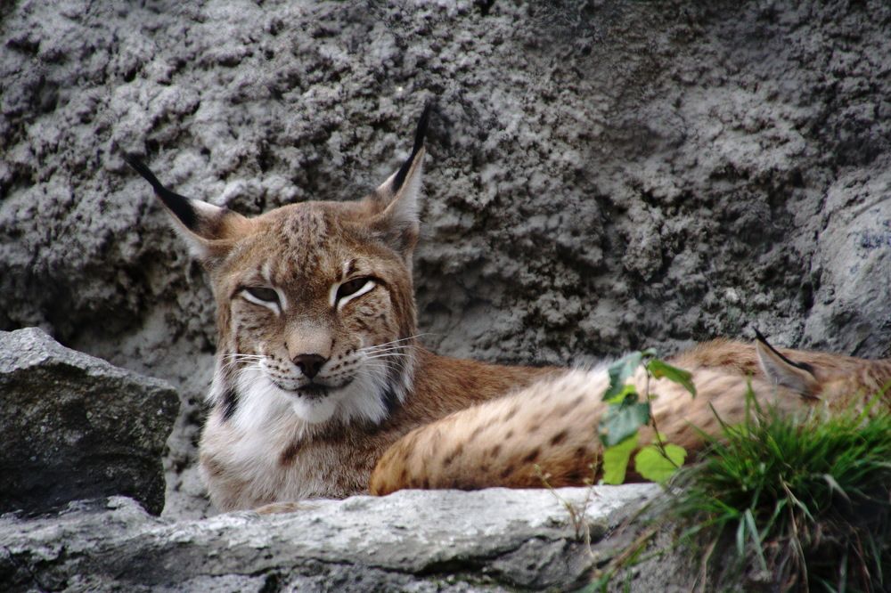 Photograph by Юрий Сычев