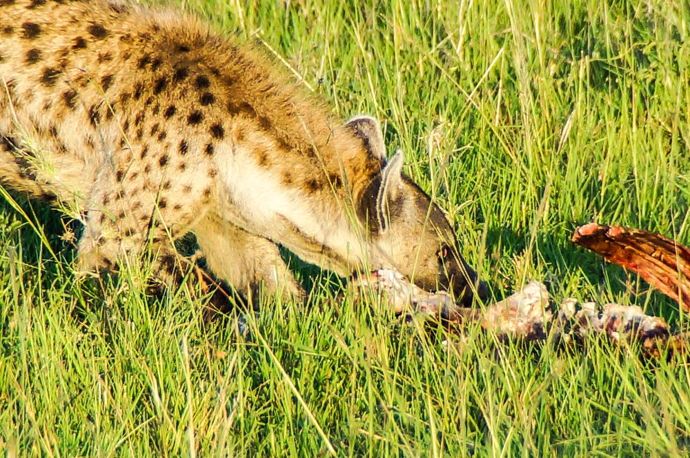 Photograph by Юрий Сычев