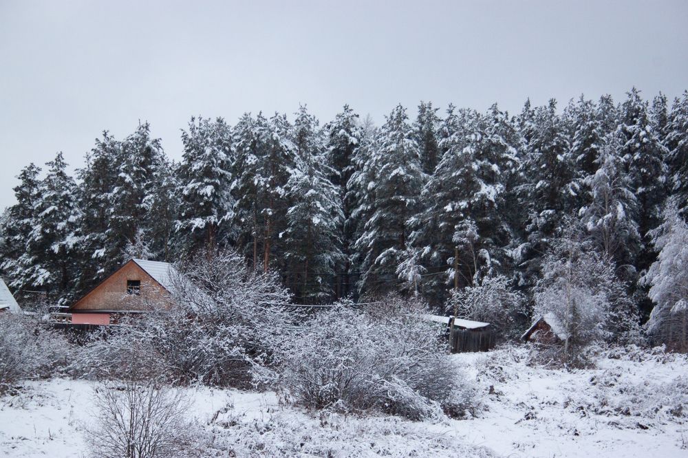 Photograph by Наталья Махлай