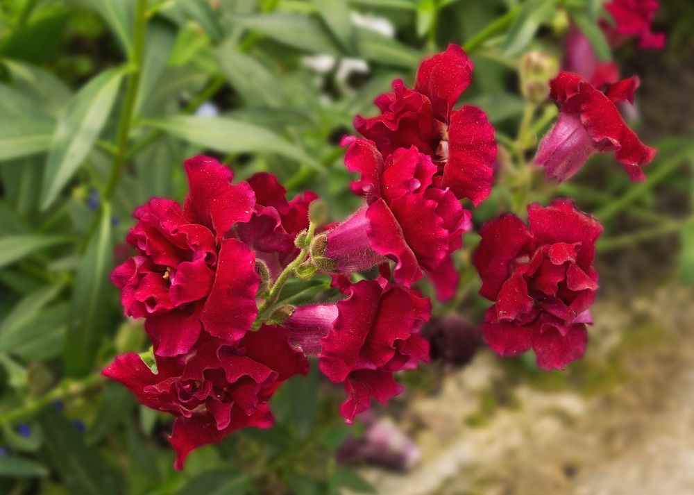 Together means amicably