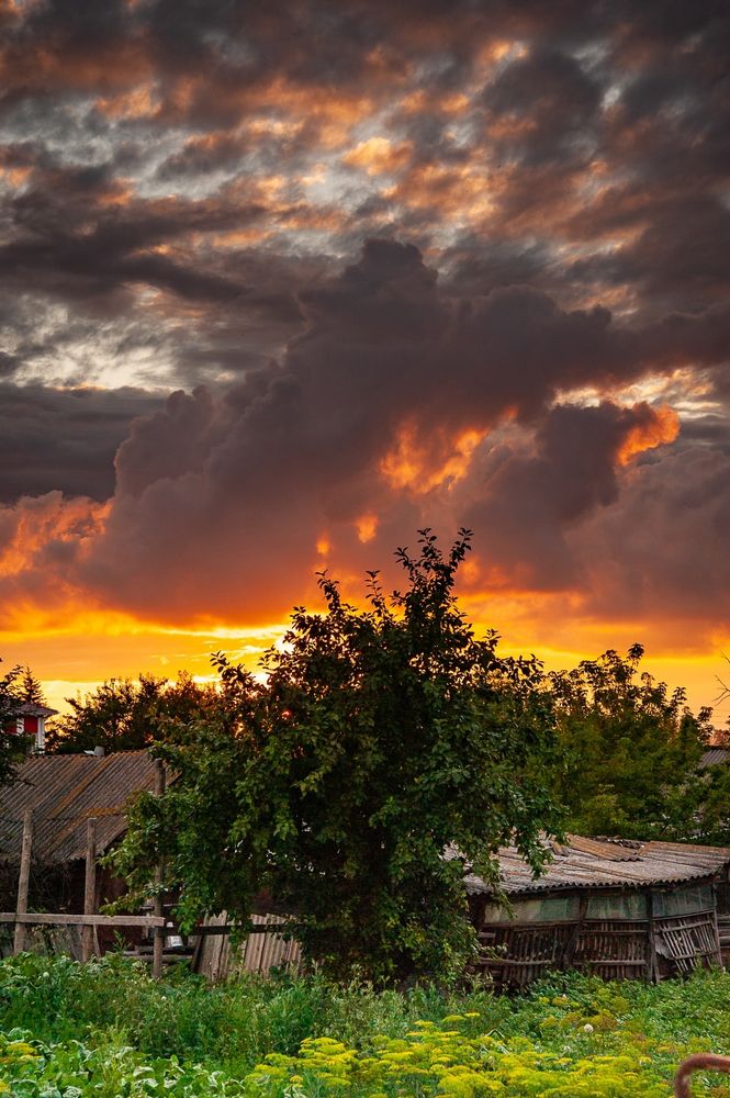 Photograph by Денис Спесивцев