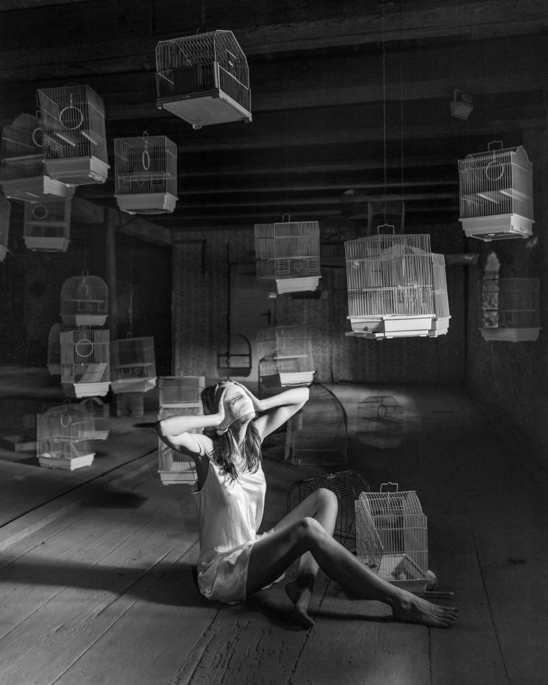 All the birds have flown away