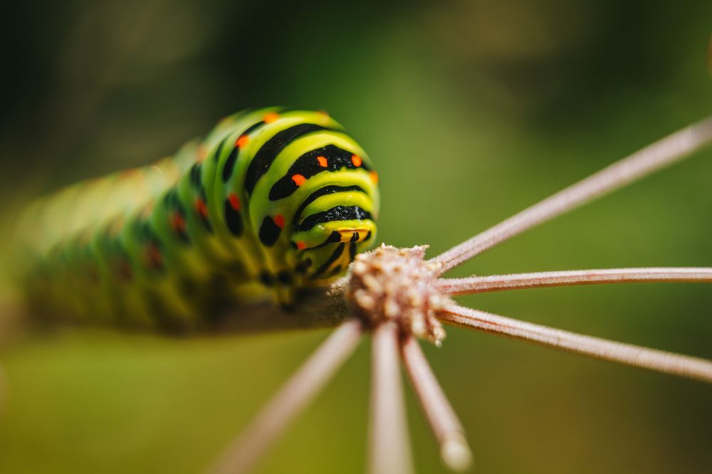 Photograph by Людмила Пахомова