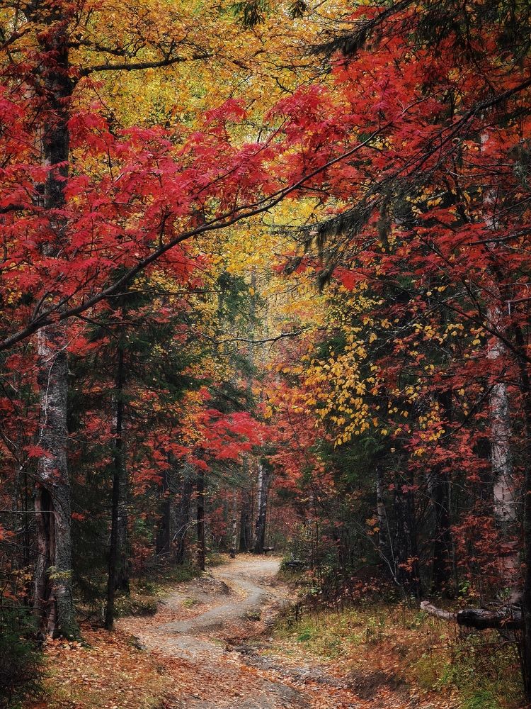 Photograph by Евгений Антонов