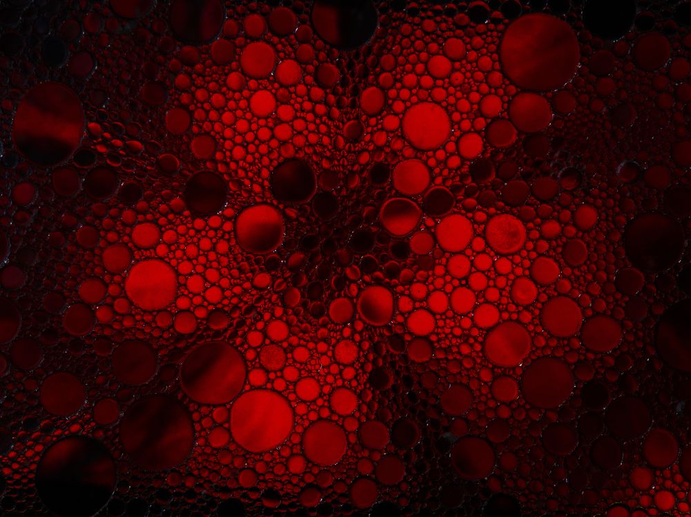 Photograph by Leanid Kulpo