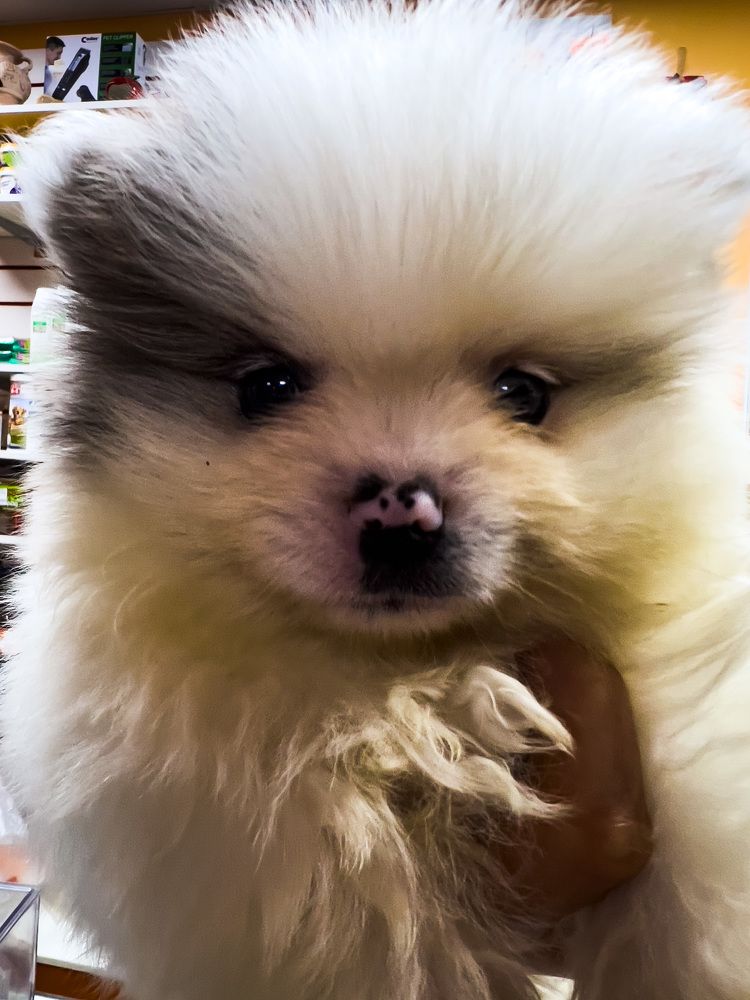 Photograph by Alice Vikernes