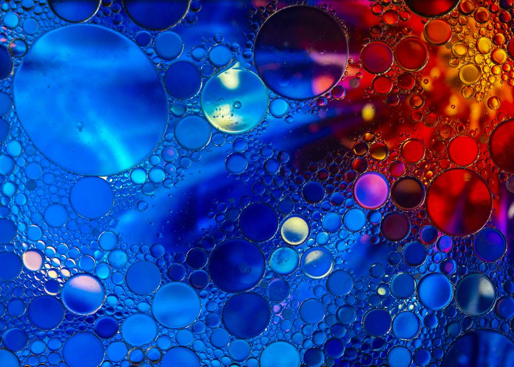 Photograph by Leanid Kulpo