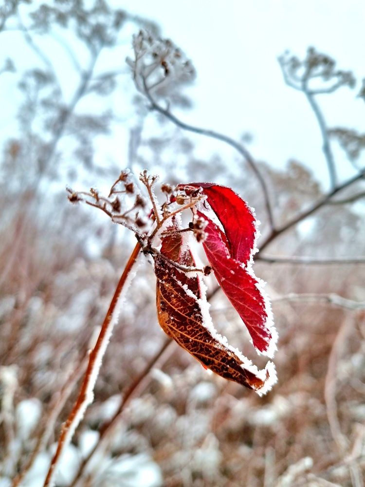 Photograph by Ангелина Шикина