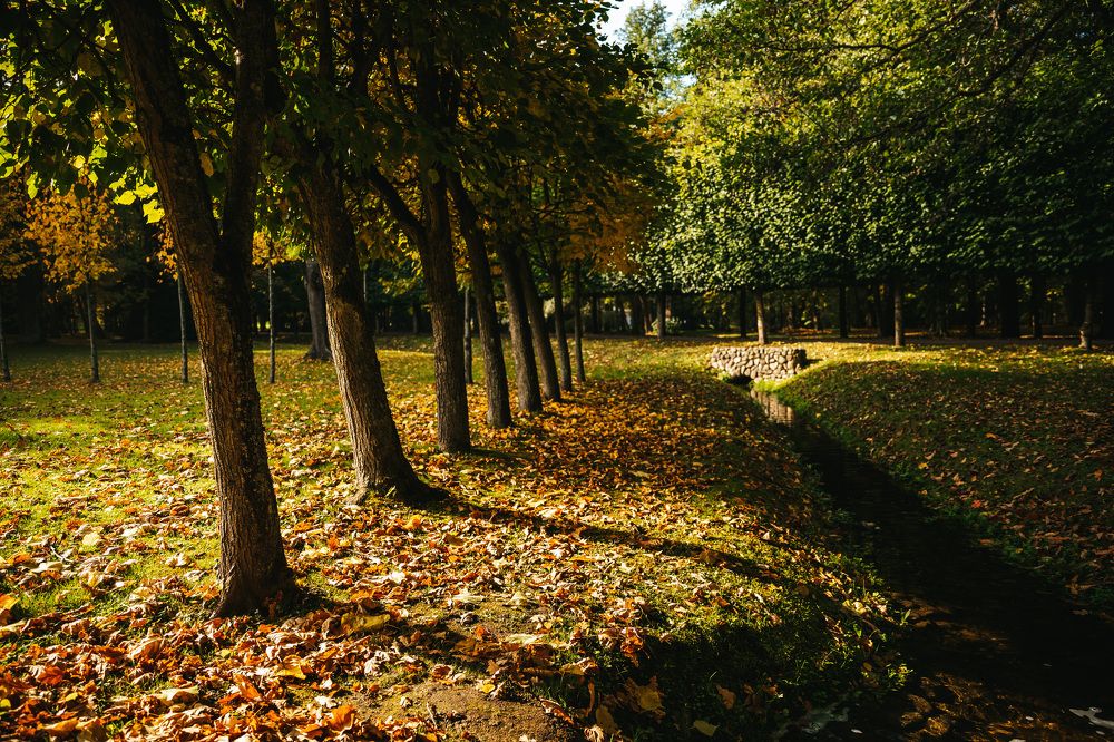 Photograph by Людмила Пахомова