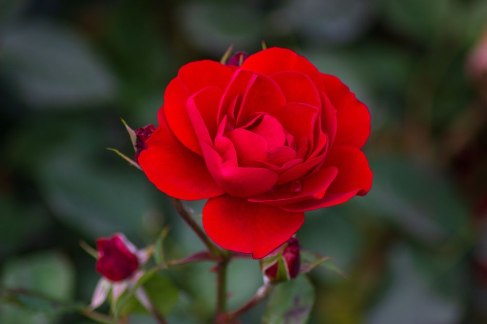 Фотография автора Edīte Ogorodnikova