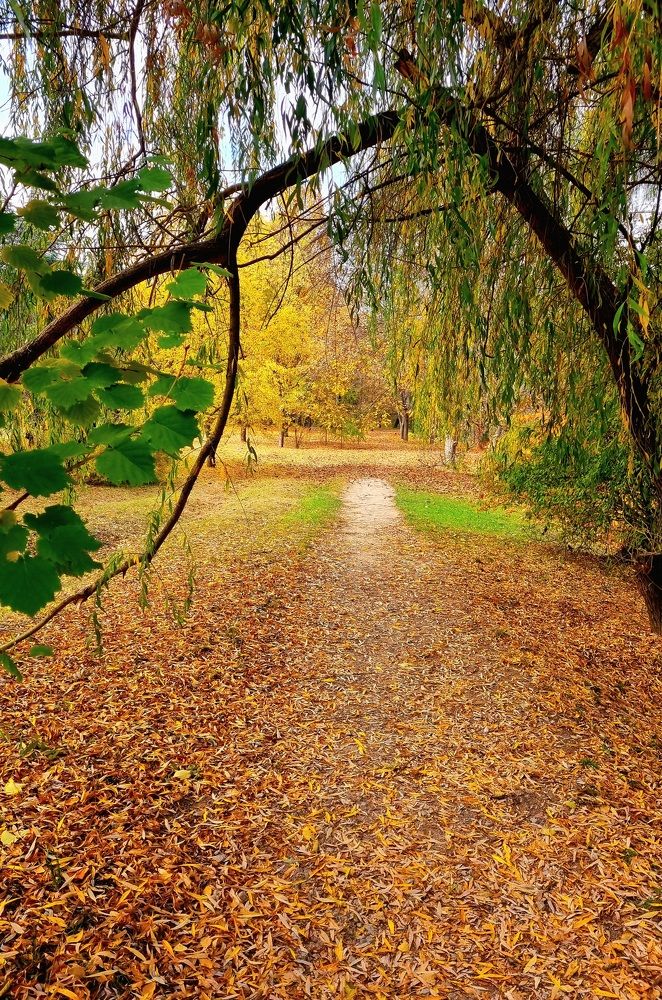 Photograph by Любовь Прохода