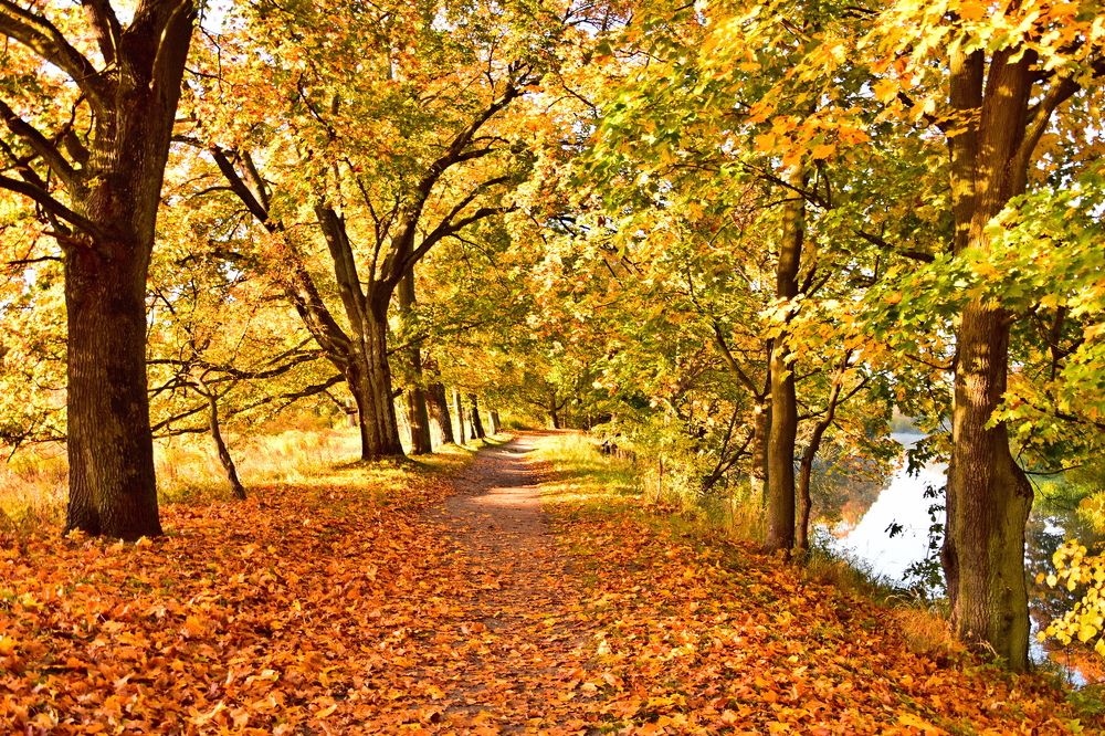 Photograph by Ирина Алексеева