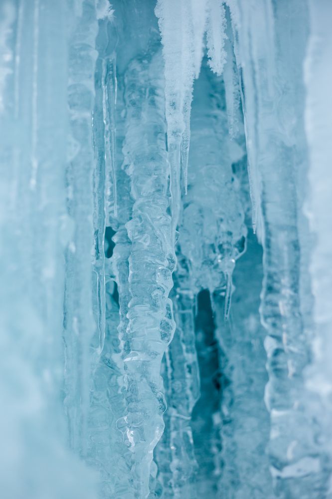 Photograph by Tatiana Varfolomeeva