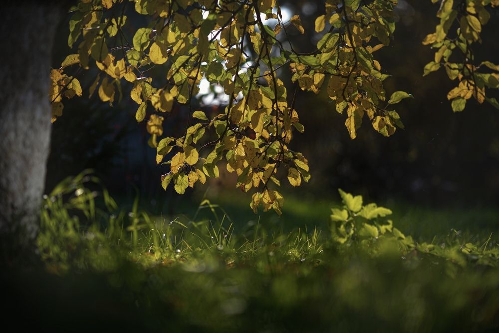 Photograph by Ольга Трифонова