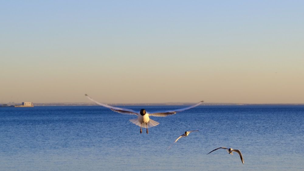 Photograph by Виктория Лавринович