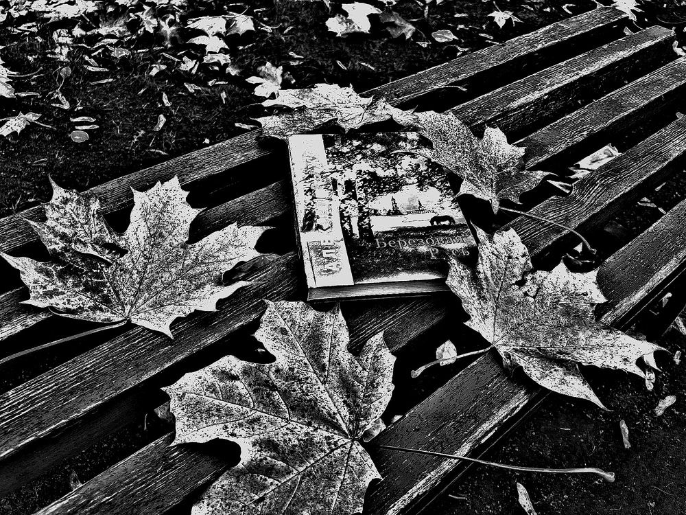 Берёзовая ... Русь...!