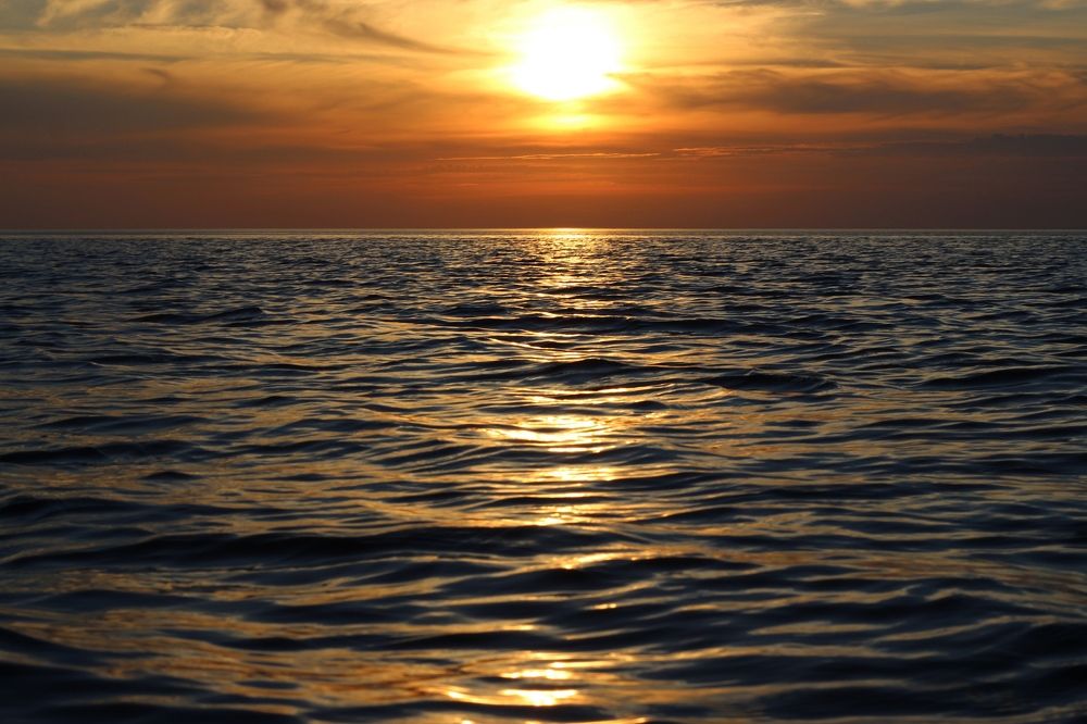 Photograph by Елена Петрова