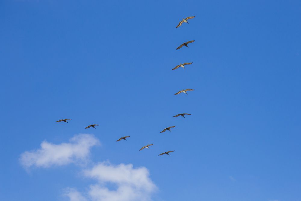 Photograph by Tatiana Varfolomeeva