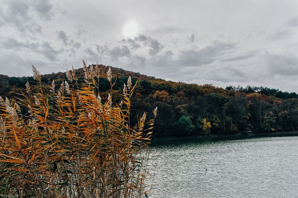 Photograph by Ирина Бакач