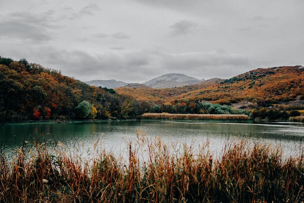 Photograph by Ирина Бакач