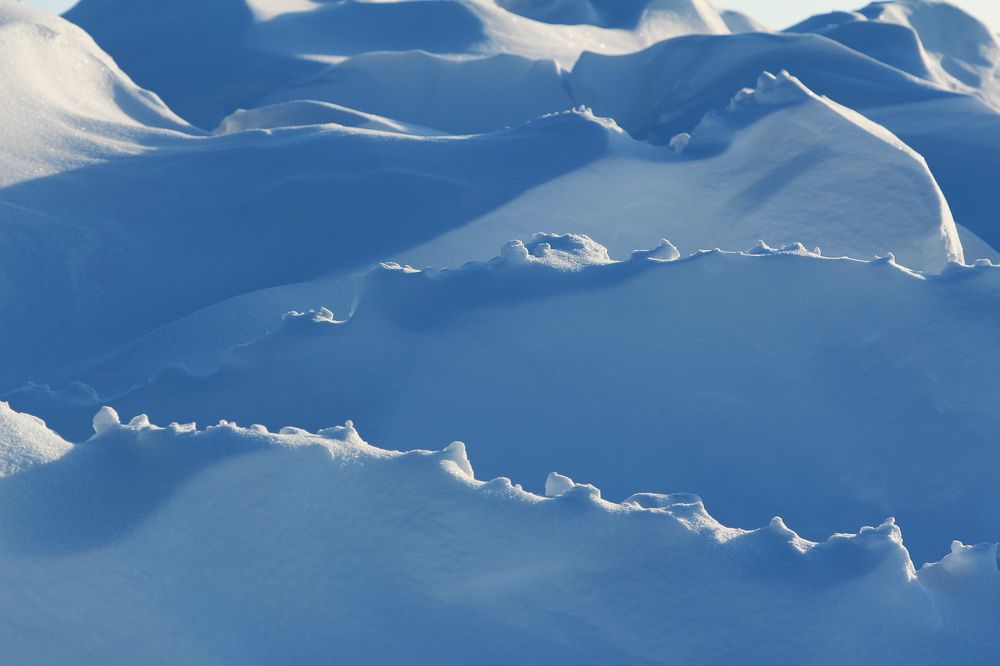 Дюны Арктики