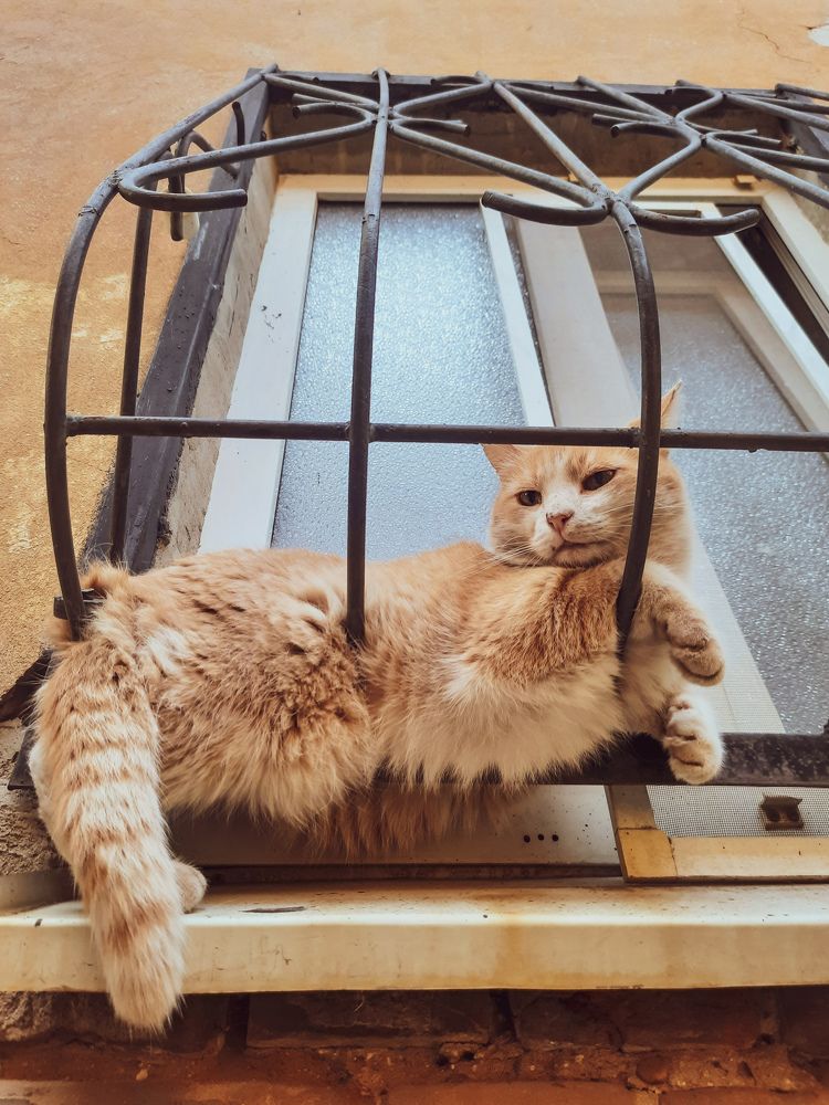 Photograph by Елена Богданова