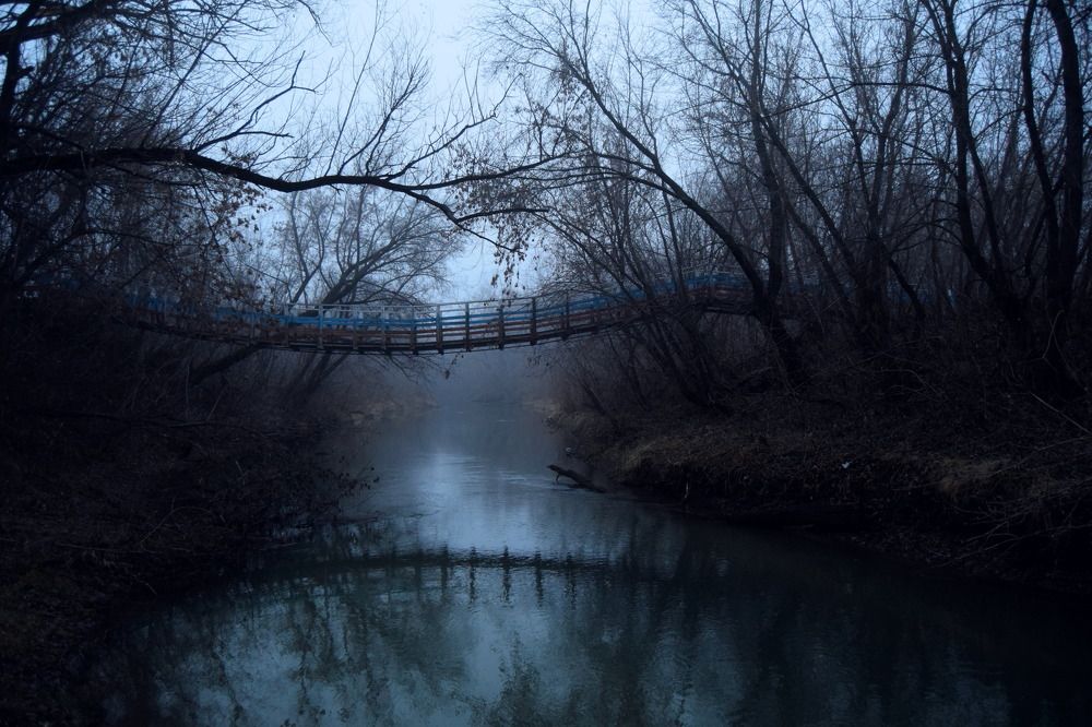 Photograph by Svetlana Korogod