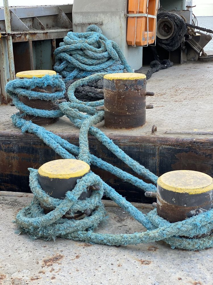 Photograph by Luís Damas