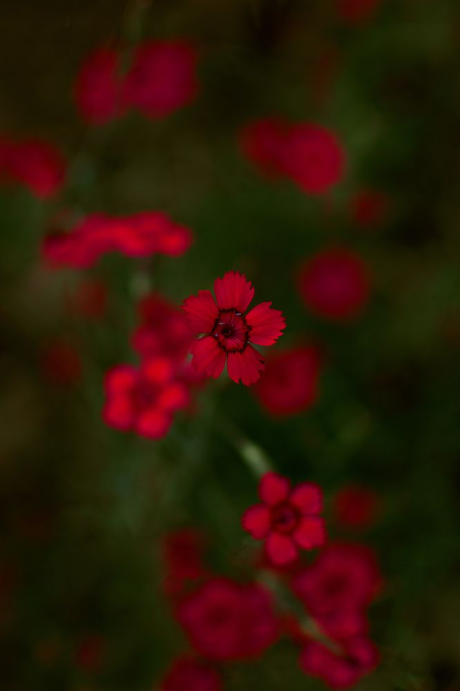 Photograph by Наталья Золотарева