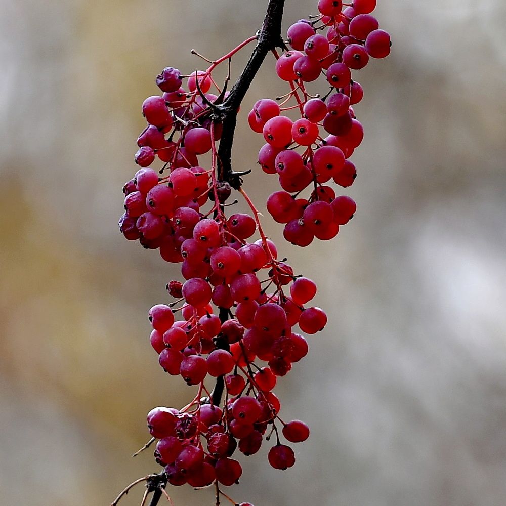 Photograph by Александр Катунцев