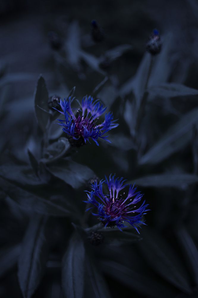 Photograph by Наталья Золотарева