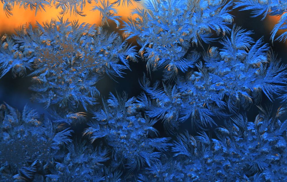 Узоры зимы.