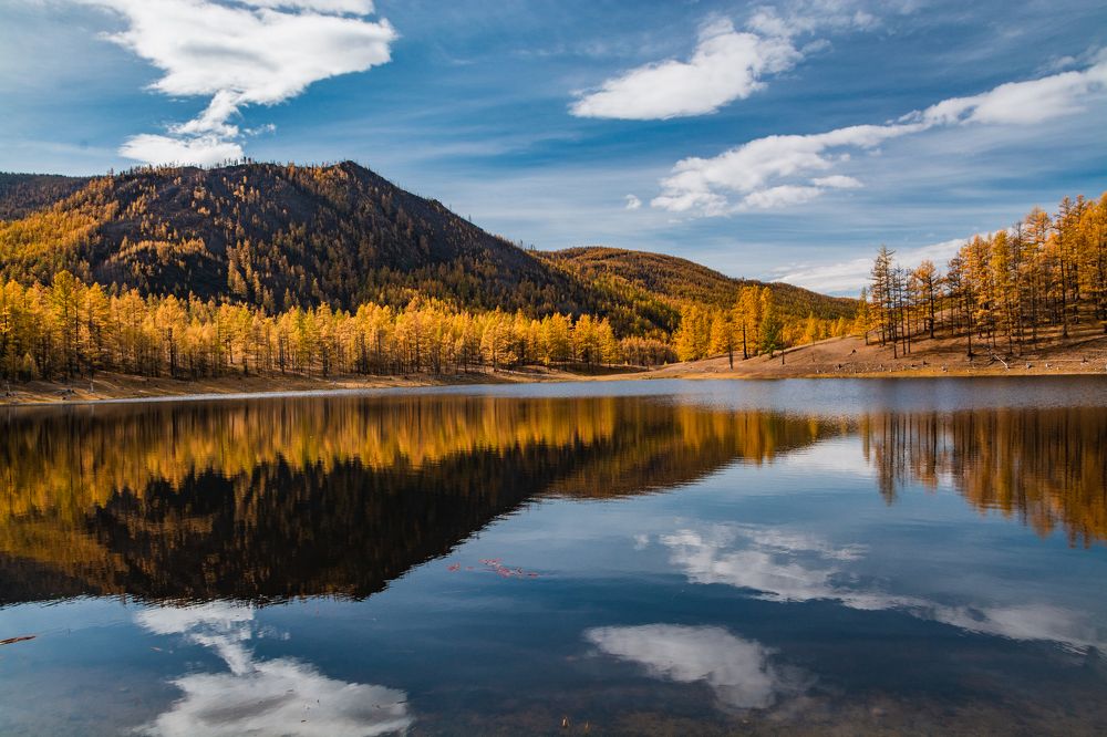 Фотография автора Анастасия