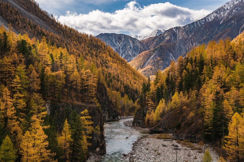 Фотография автора Анастасия