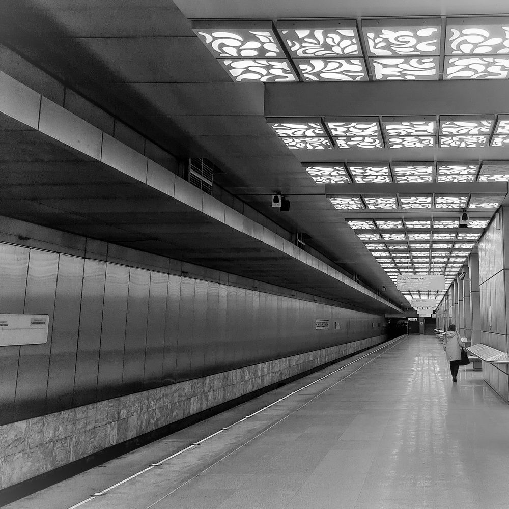 Фотография автора Светлана Алексеева