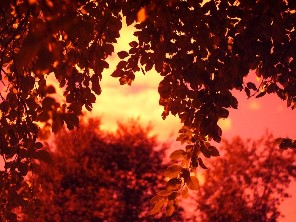 Photograph by Баженова Наталья