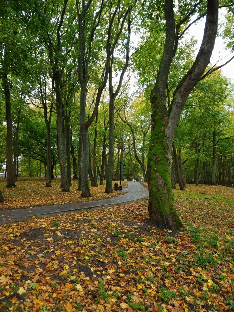 Photograph by Александра Кузнецова